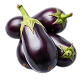 Fresh Eggplant